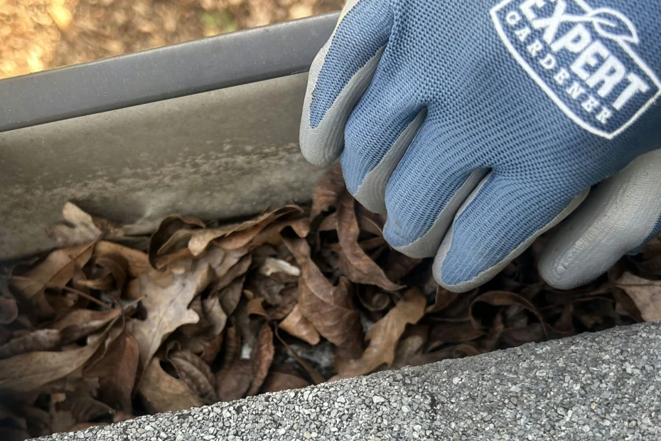 Gutter Cleaning Windermere FL