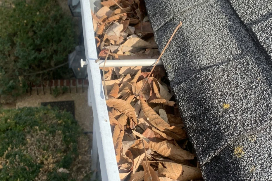 Gutter Cleaning Windermere FL