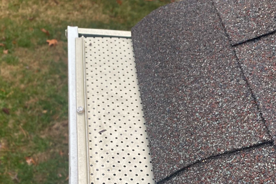 Gutter Cleaning Windermere FL