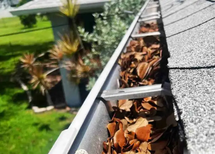 Gutter Cleaning Windermere FL home page